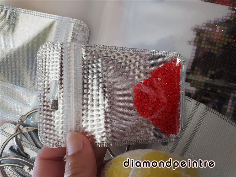 Diamond Drawing Tools | Ring and 100pc Storage Bag