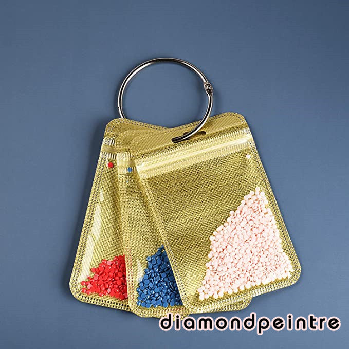 Diamond Drawing Tools | Ring and 100pc Storage Bag