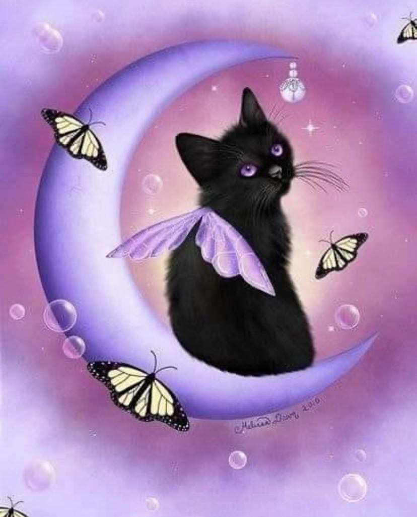 Diamond Painting Family Full Resin Square Fairy Dust Crystal AB Stone Diamond Painting Arts Black Cat Moon丨DF0084